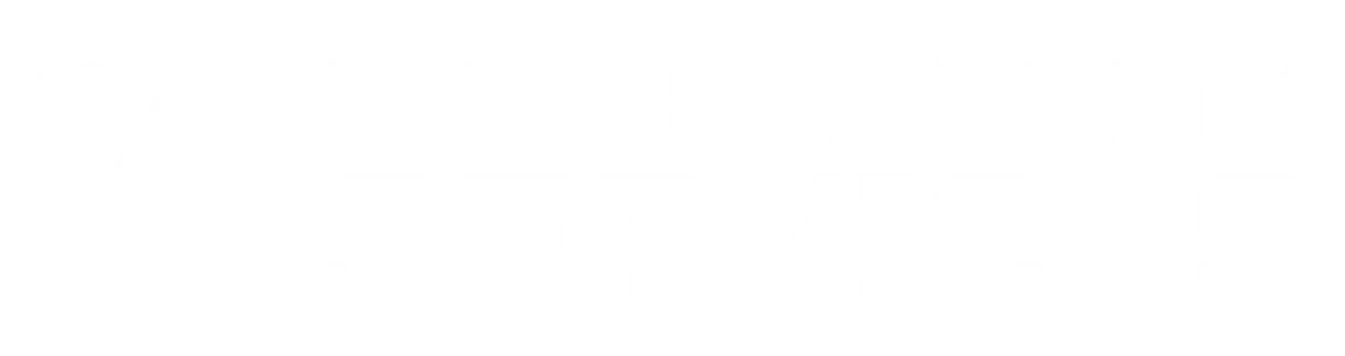 RINT Security Services